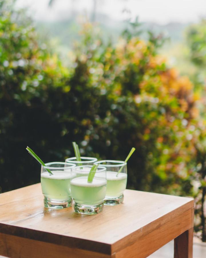 Piripe Wellness Lodge Pacto Kültér fotó