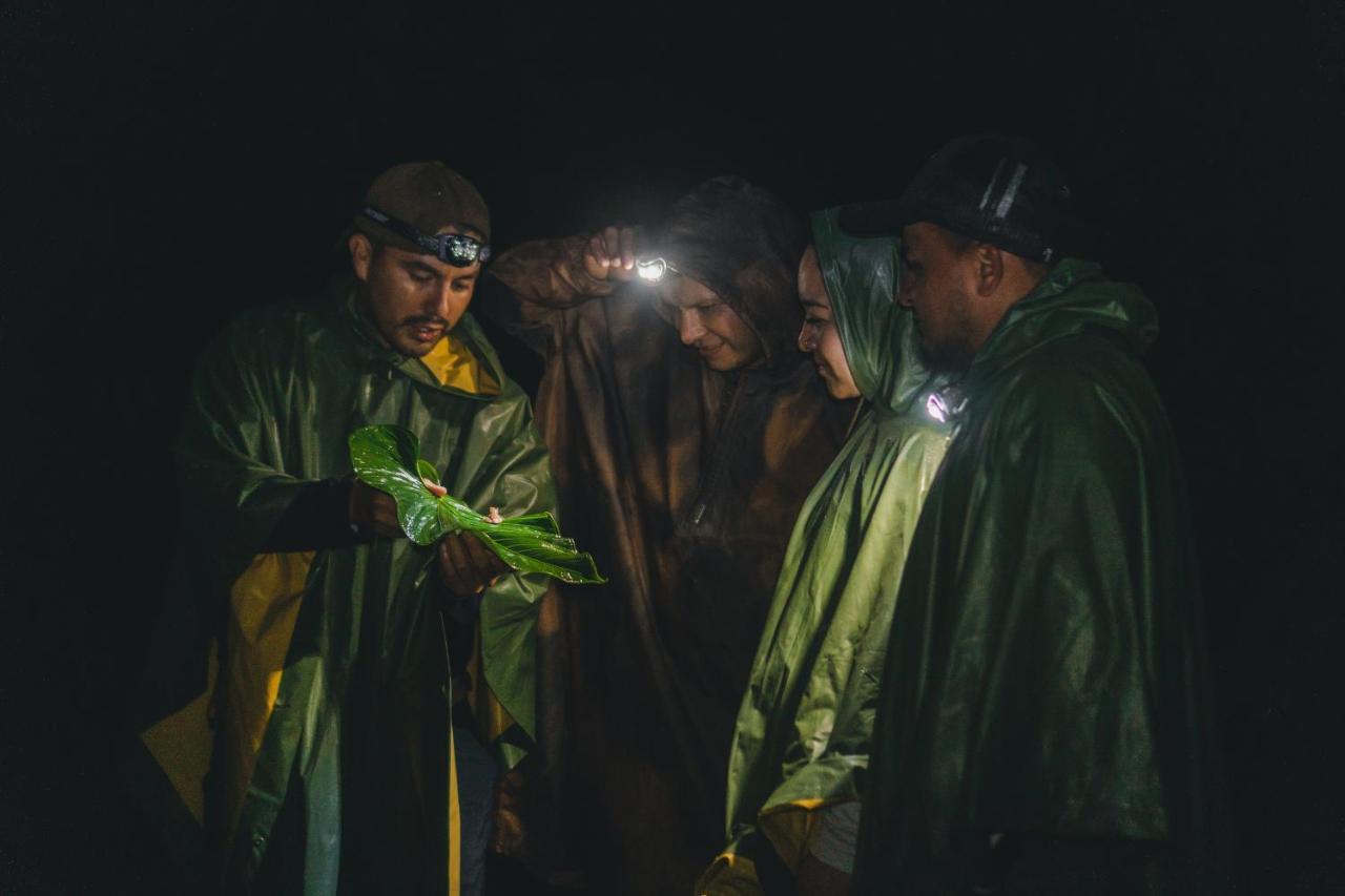 Piripe Wellness Lodge Pacto Kültér fotó